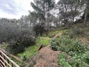 Chalet en Albalat dels tarongers