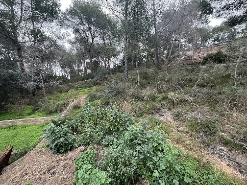 Chalet en Albalat dels tarongers
