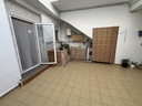 Terraza trasera